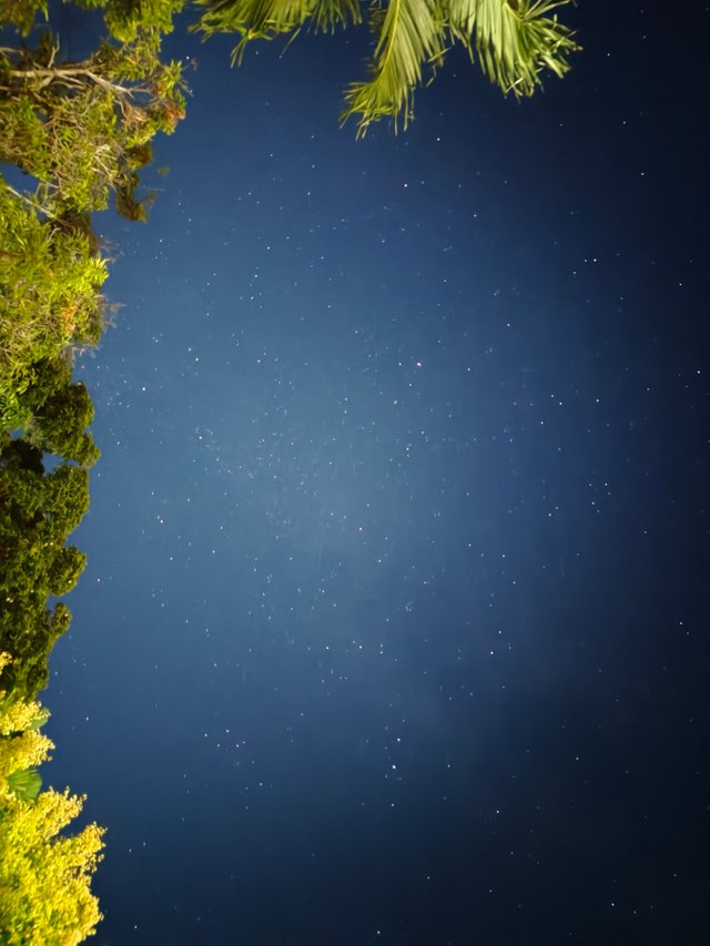 1000007836.jpg