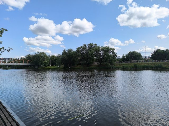 IMG_20250610_152432.jpg