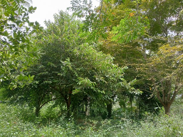 IMG20250915122946.jpg