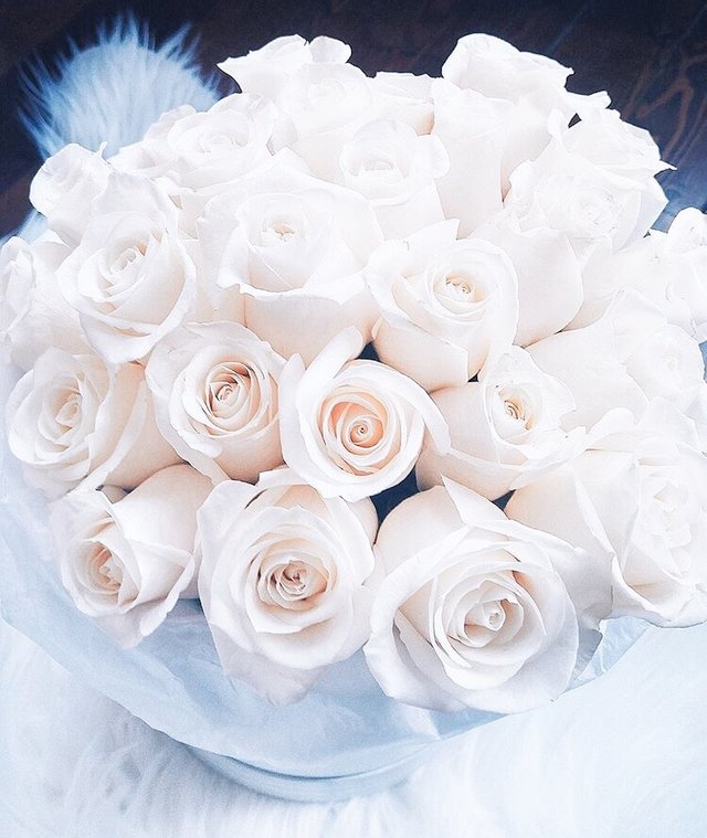 white roses.jpg