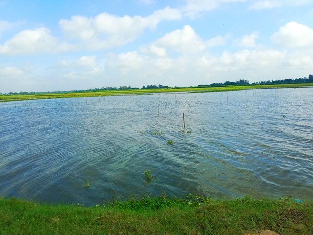 IMG_20250626_222404.jpg
