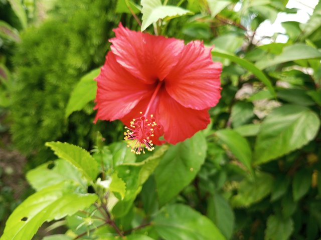 IMG_20250909_130900_264.jpg