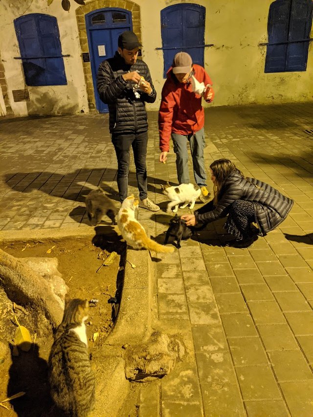 IMG_20191205_002805.jpg