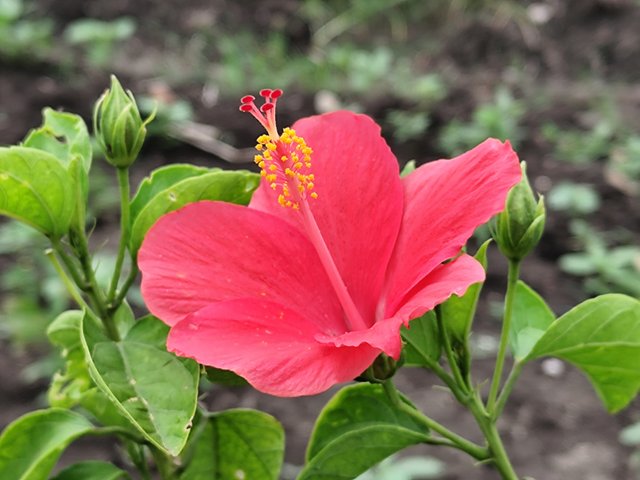 IMG_20250720_201810.