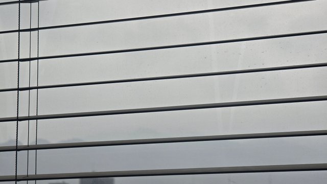 1000127888.jpg