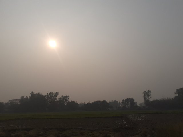 20250228_160711.jpg