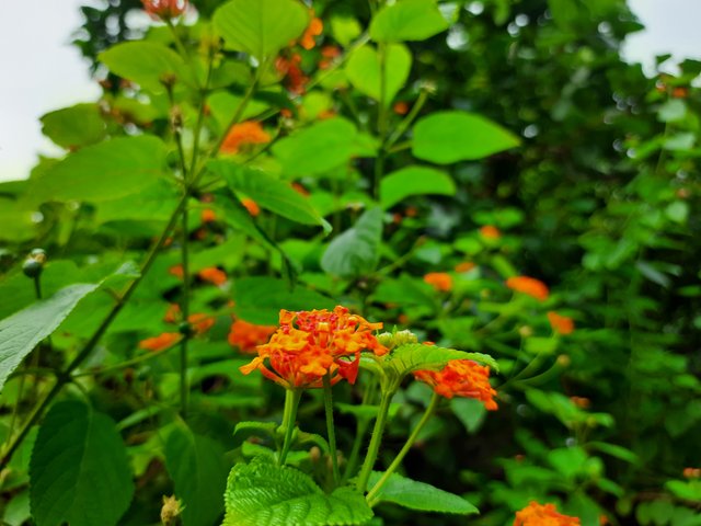 20210910_081357.jpg