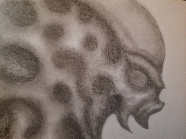 20250424_105946.jpg