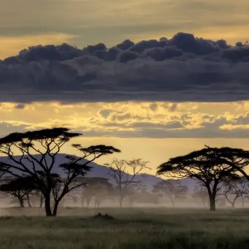 Serengeti-Tanzania-Africa-500x500.webp