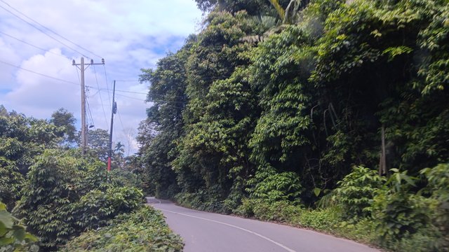 20250618_120233.jpg