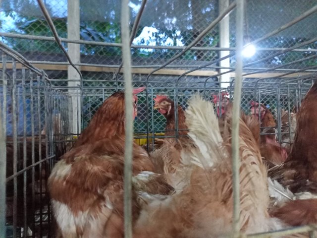 IMG20250822182702.jpg