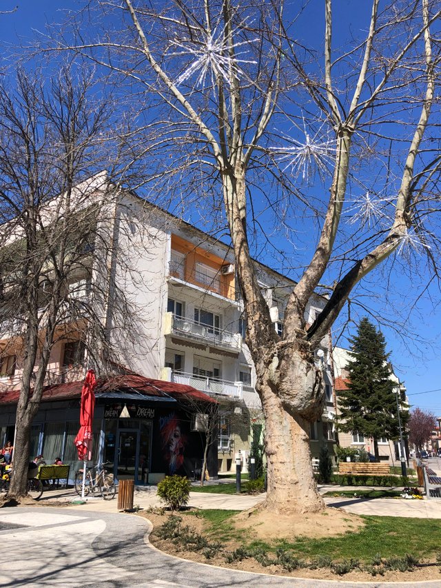 IMG_0092.jpeg