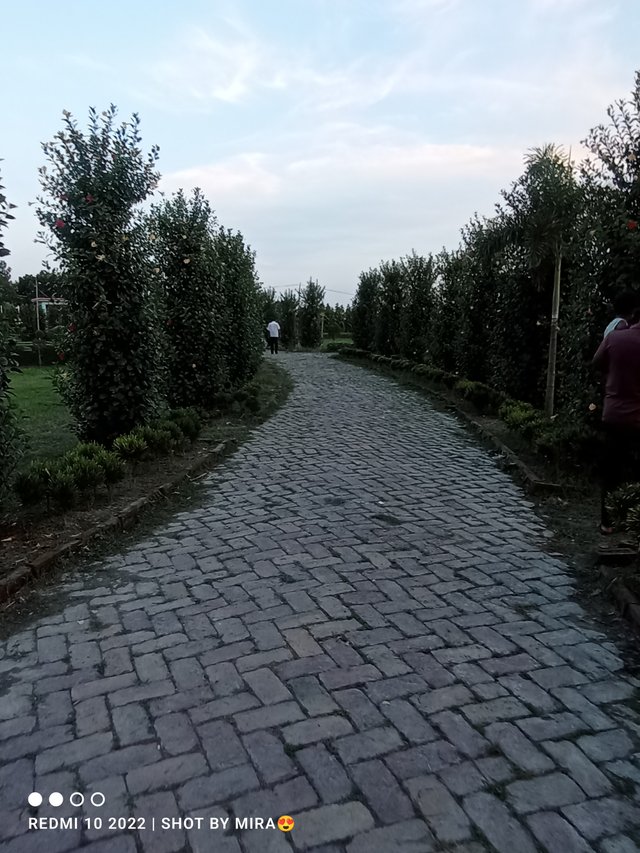 IMG_20250612_184216.jpg