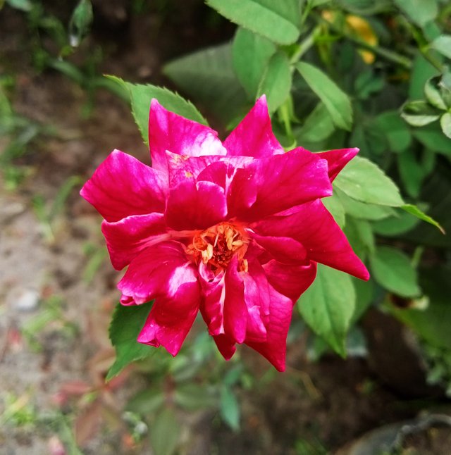 IMG_20250806_132035.jpg