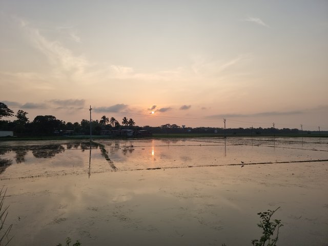 20230704_183113.jpg