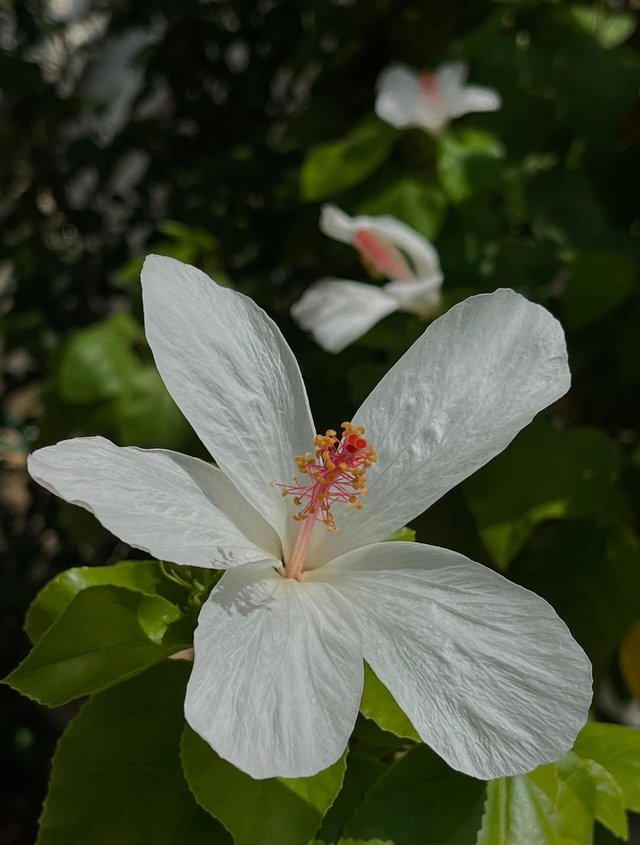 IMG_20250831_192528.jpg