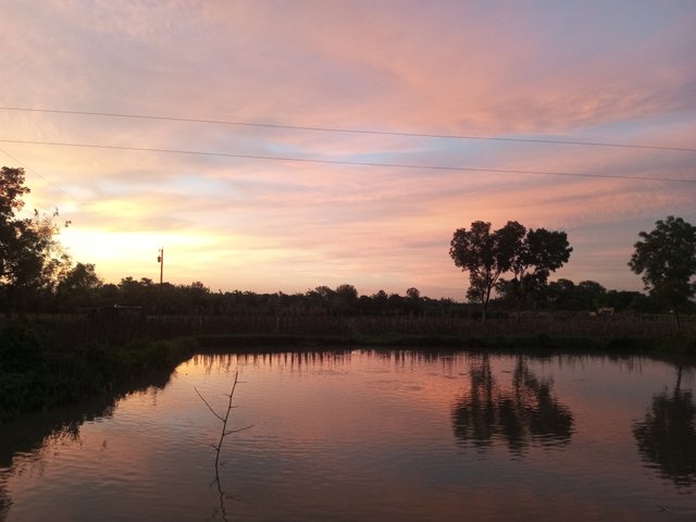 IMG_20250530_185529_633.jpg