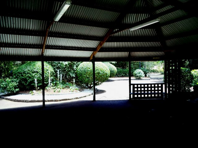 DSC09352.JPG