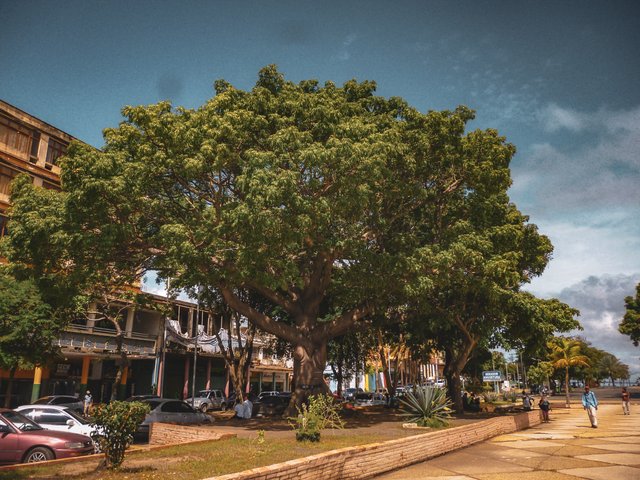 P1290579.jpg