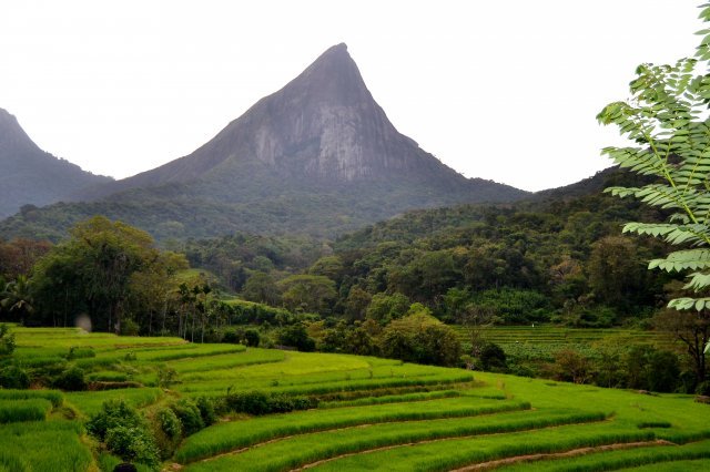 Lakegala_Peak_in_Meemure.jpg