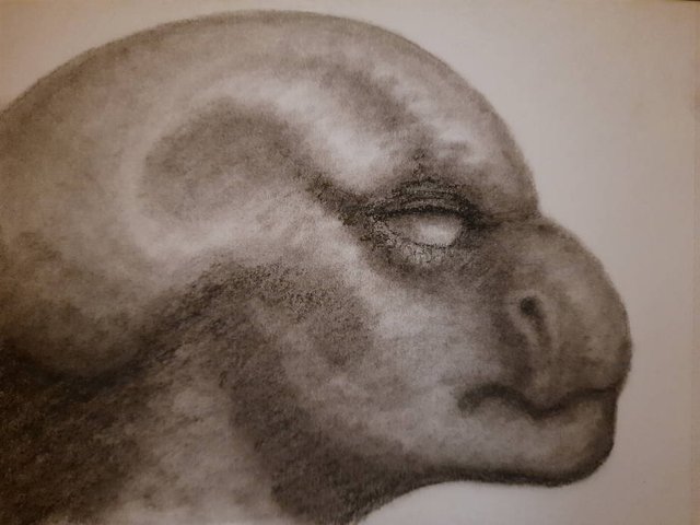 20250921_094758.jpg