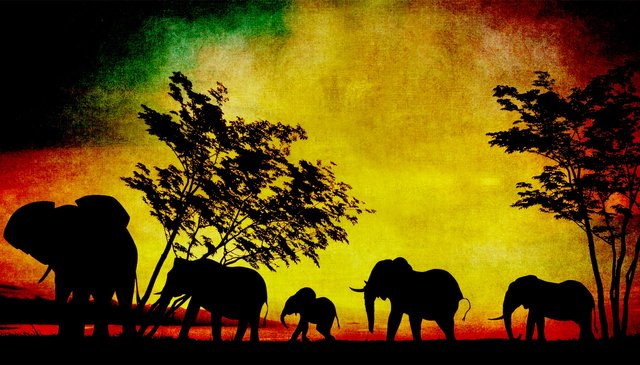 elephant-sunset-painting-vintage.jpg