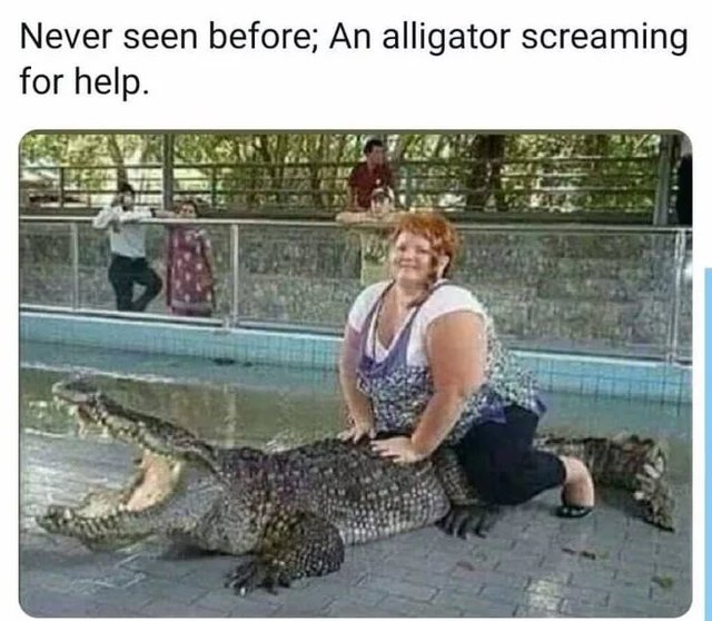Alligator-screaming.jpg