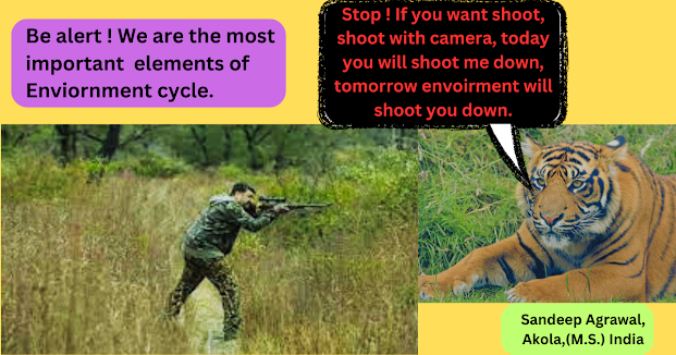 Stop ! If you want to shoot, shoot with camera. Today you will shoot me down, tomarrao.png