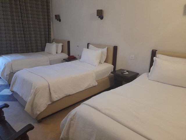 image (7).jpeg