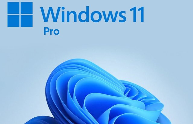 windows-11-pro.jpg