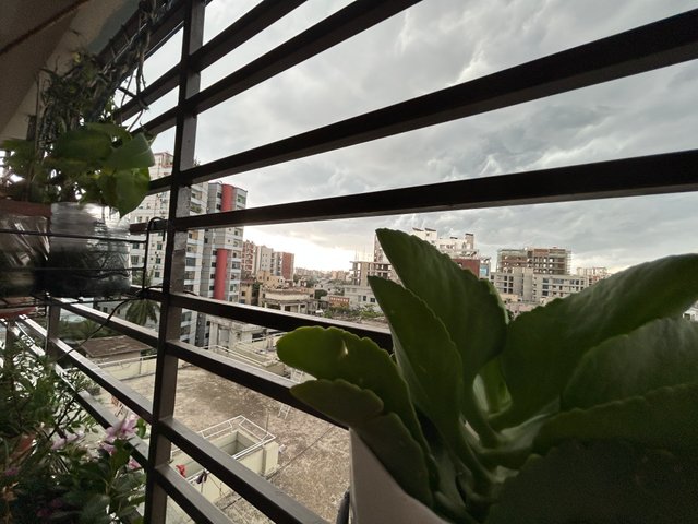 IMG_0580.jpeg
