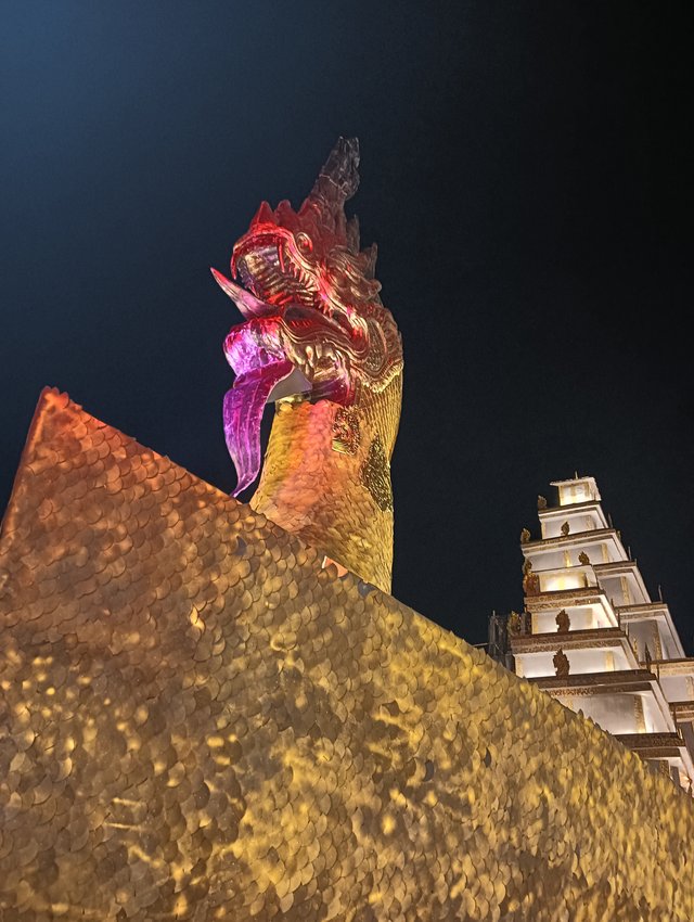 IMG20250929234346.jpg
