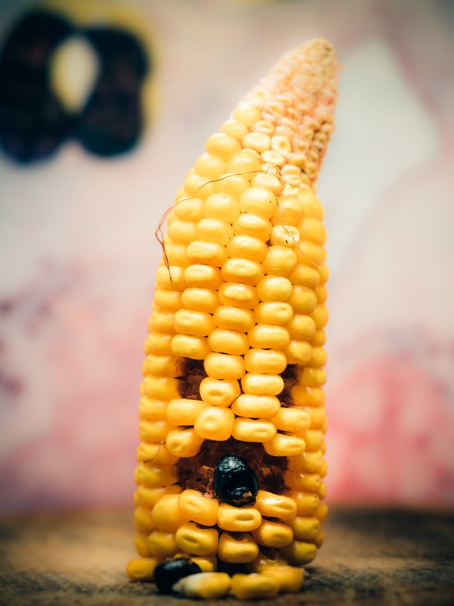 corns-1-5.jpg