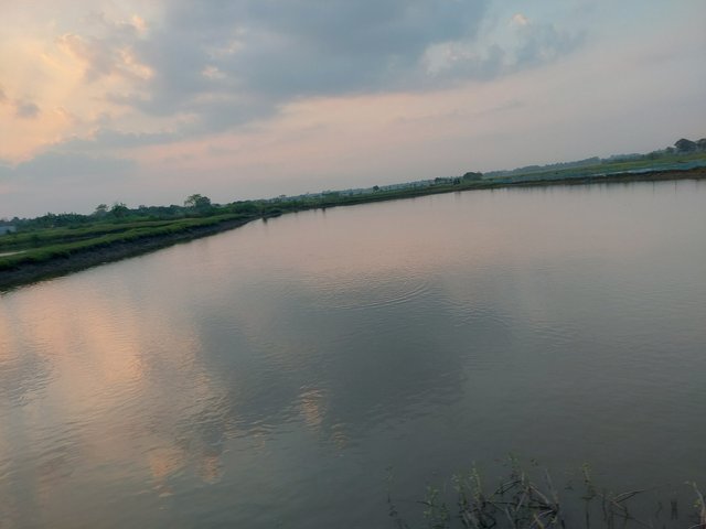 1000006294.jpg