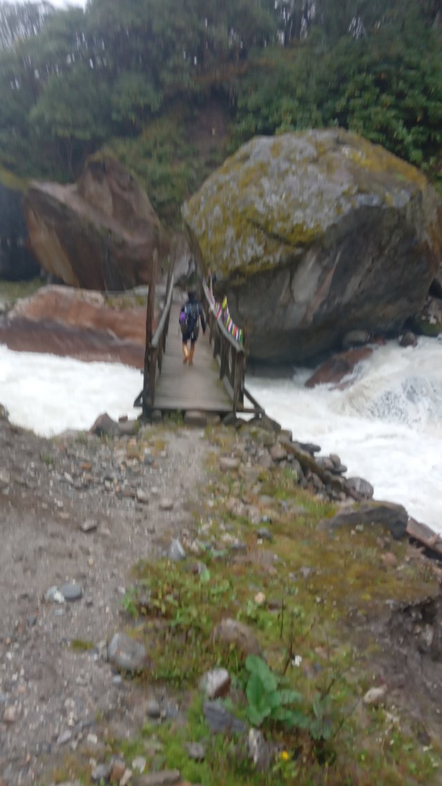 20250915_072149.jpg