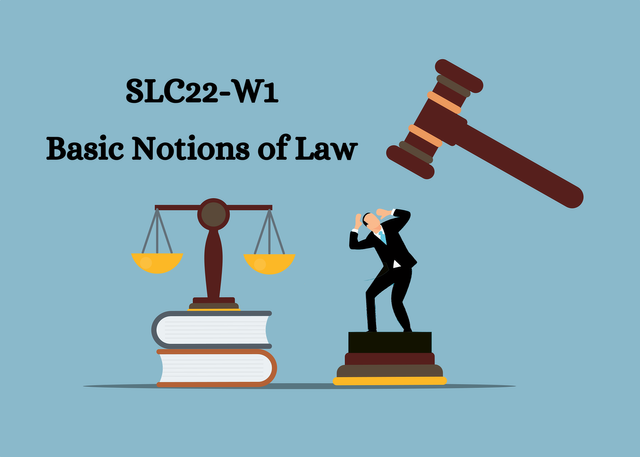 Basic Notions of Law (1).png