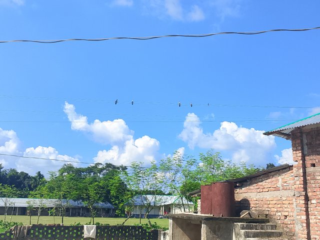 1000051910.jpg
