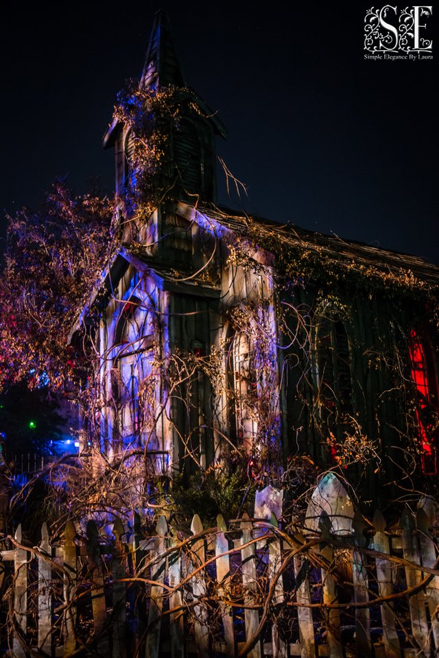 HHN-2018 (7).jpg