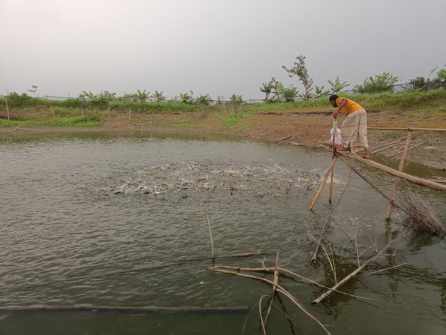 IMG20250501164241.jpg