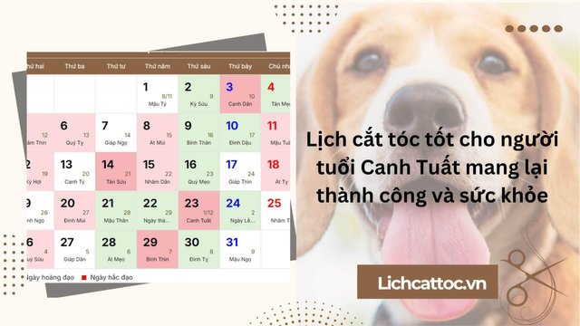 lichcattoc-1744161773524.jpeg