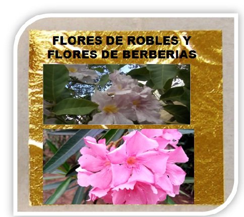 flores de ROBLE Y BERBERIAS .jpg