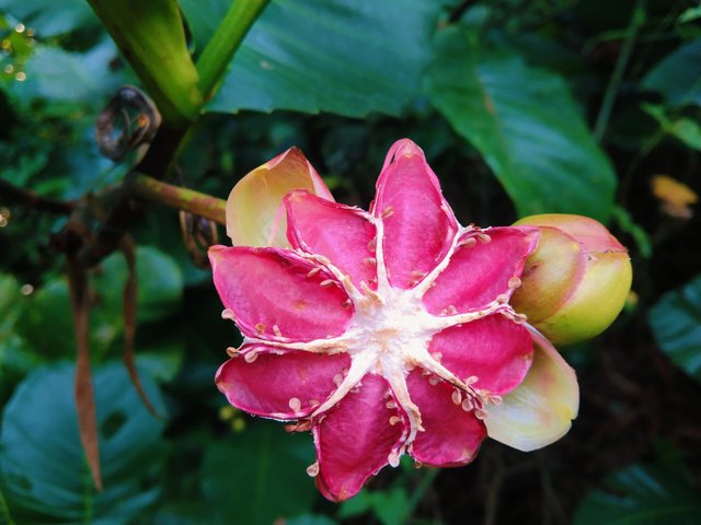 IMG_20250613_180424.jpg