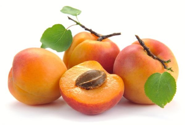 693258apricot.png