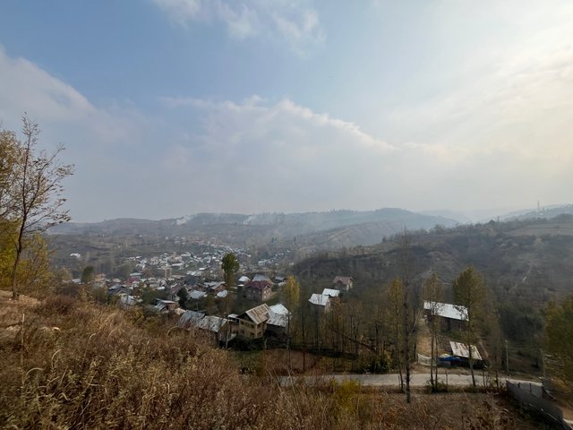 IMG_1195.jpeg