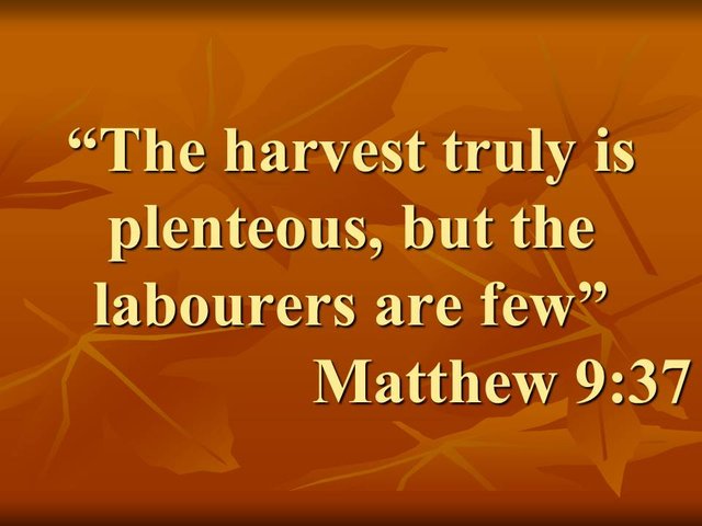 Inspirational faith. The harvest truly is plenteous, but the labourers are few. Matthew 9,37.jpg