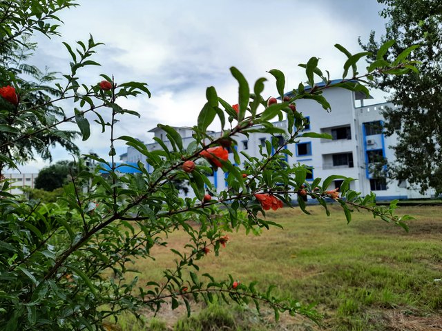 20220920_144523.jpg