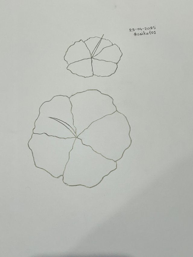 IMG_1160.jpeg