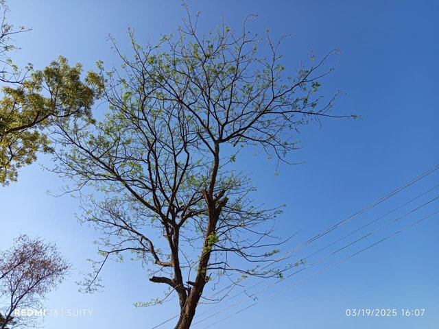 1000032397.jpg