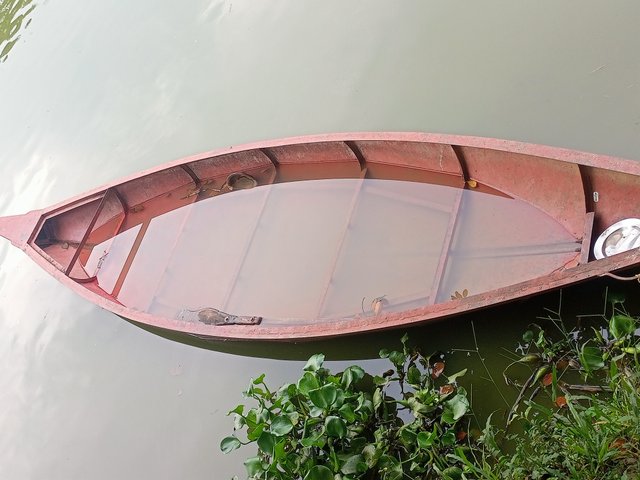 IMG20250914170902.jpg