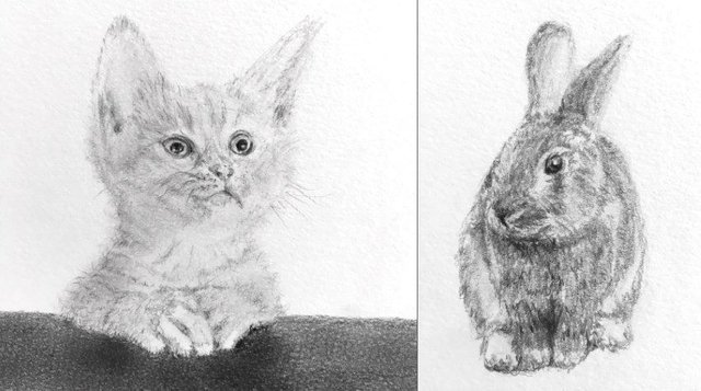 cat-and-rabbit-sketches.jpg